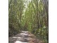Upper Coopers Creek NSW 2480