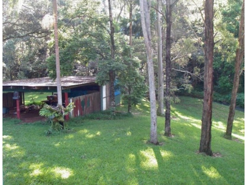Upper Coopers Creek NSW 2480