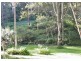 Upper Coopers Creek NSW 2480