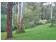 Upper Coopers Creek NSW 2480