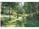 Upper Coopers Creek NSW 2480