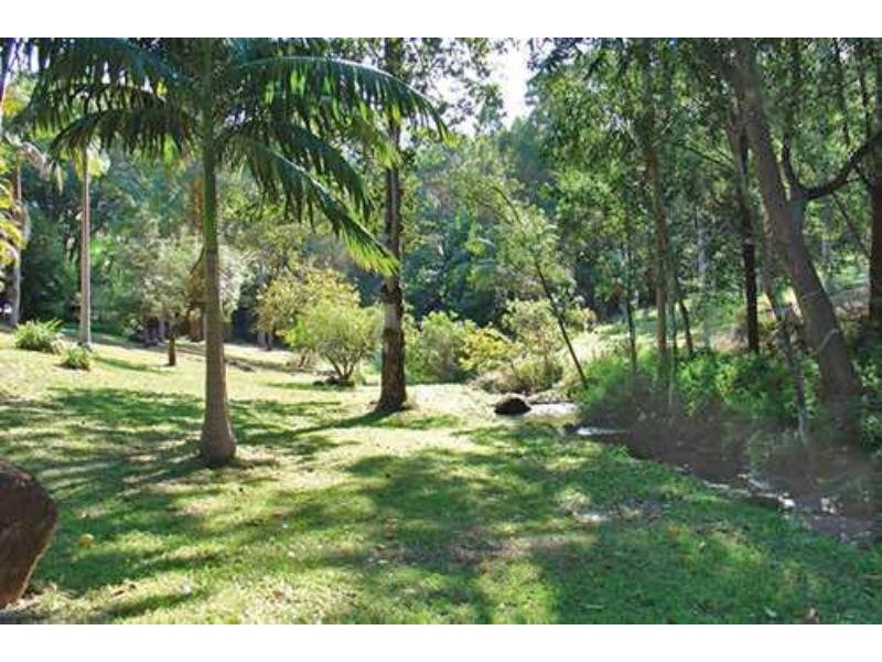 Upper Coopers Creek NSW 2480