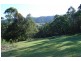 Upper Coopers Creek NSW 2480