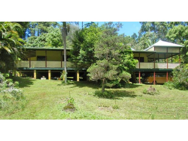 Upper Coopers Creek NSW 2480