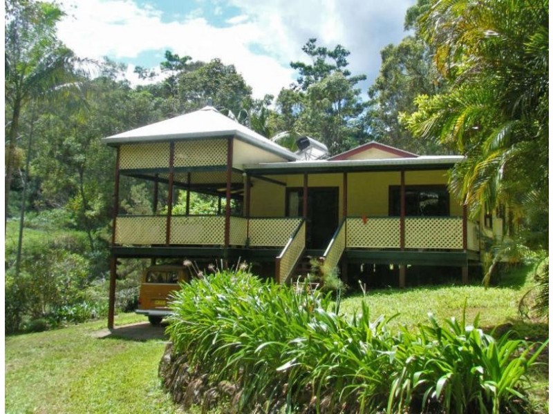 Upper Coopers Creek NSW 2480