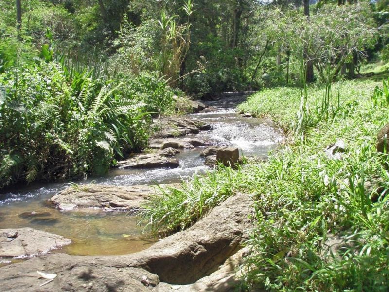 Upper Coopers Creek NSW 2480