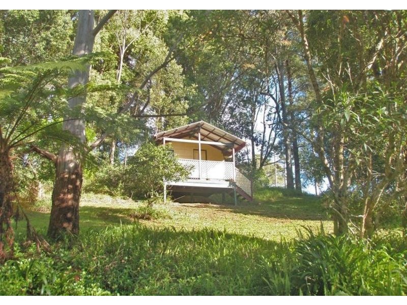 Upper Coopers Creek NSW 2480