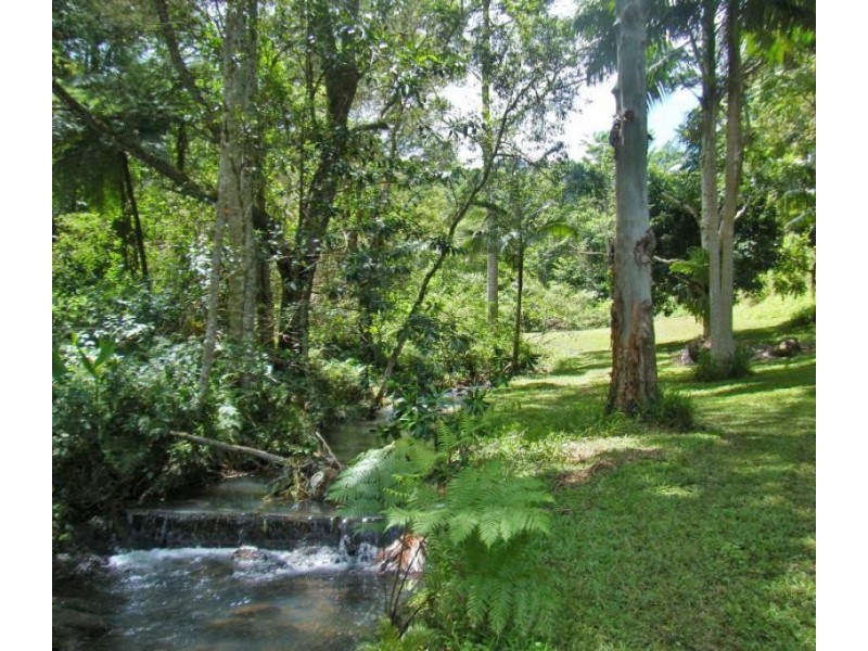 Upper Coopers Creek NSW 2480