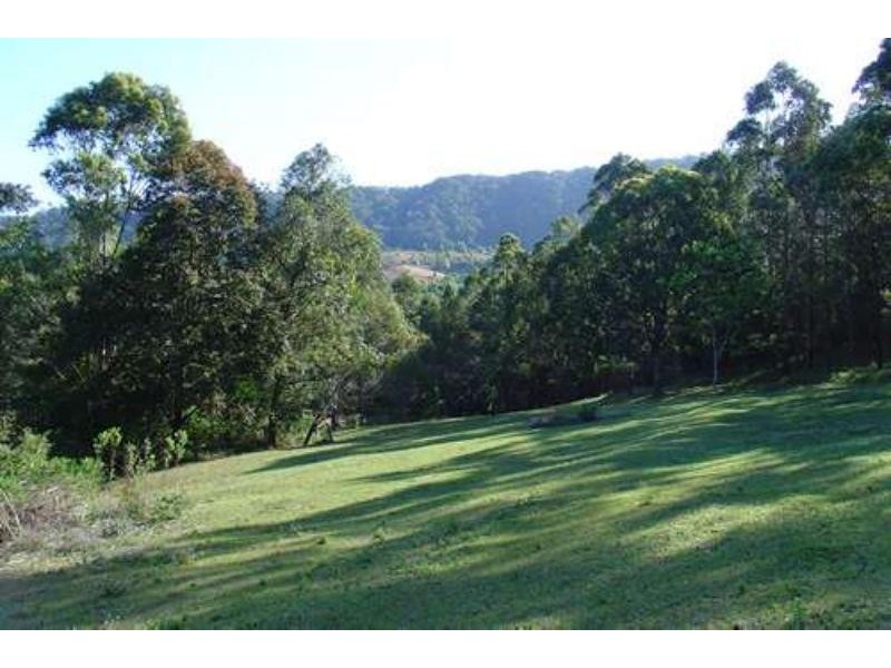 Upper Coopers Creek NSW 2480