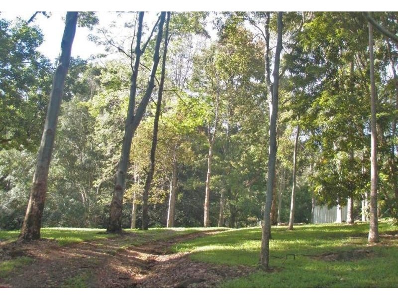 Upper Coopers Creek NSW 2480