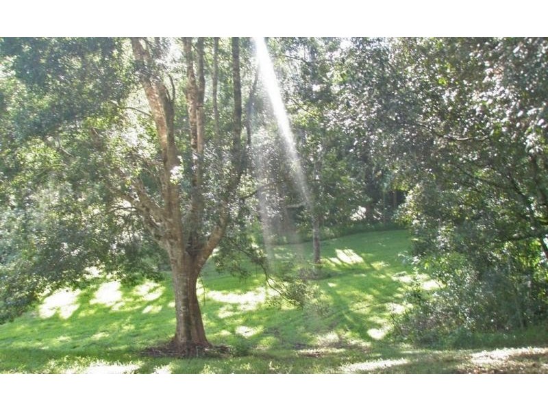 Upper Coopers Creek NSW 2480