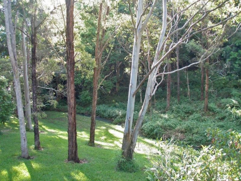 Upper Coopers Creek NSW 2480