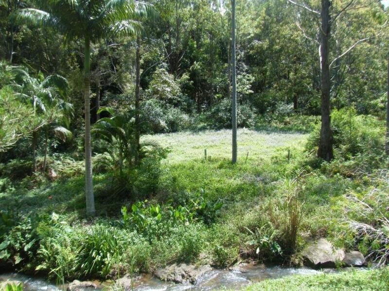 Upper Coopers Creek NSW 2480