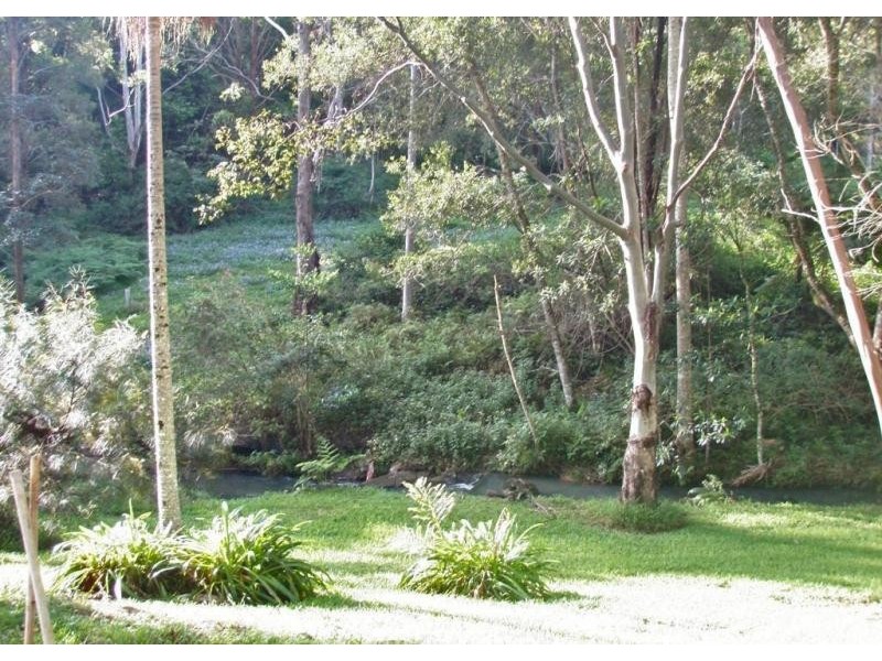 Upper Coopers Creek NSW 2480