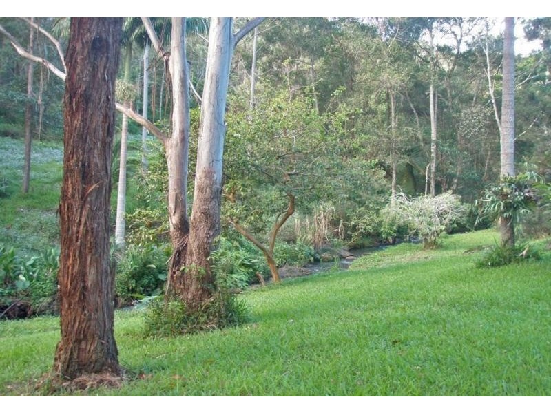 Upper Coopers Creek NSW 2480