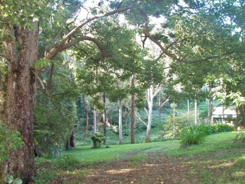 Upper Coopers Creek NSW 2480