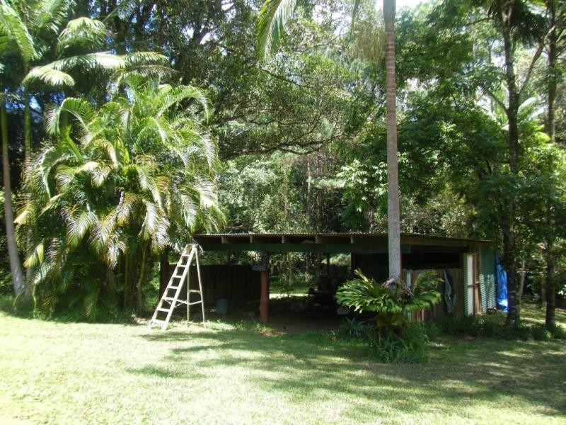 Upper Coopers Creek NSW 2480