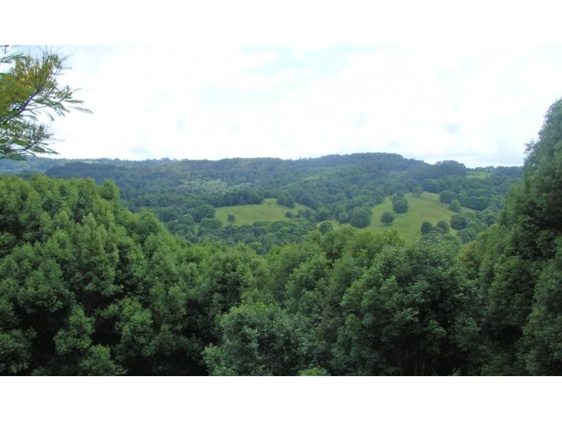 Repentance Creek NSW 2480