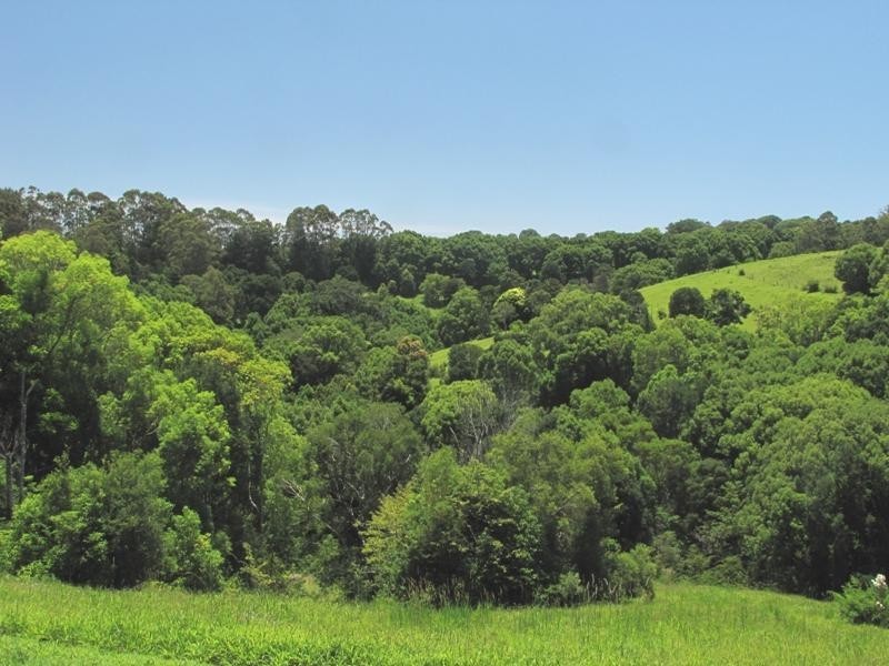 8 Goninan Pl, Possum Creek NSW 2479