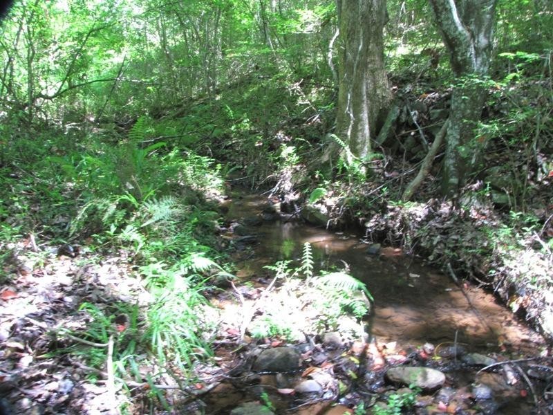 Possum Creek NSW 2479