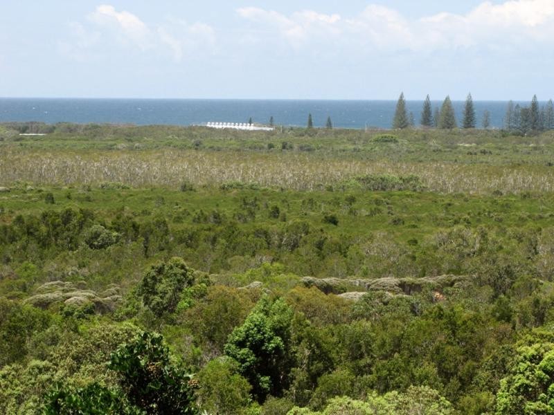 *56 Fig Tree Hill Dr, Lennox Head NSW 2478