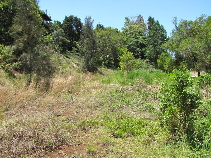 *56 Fig Tree Hill Dr, Lennox Head NSW 2478