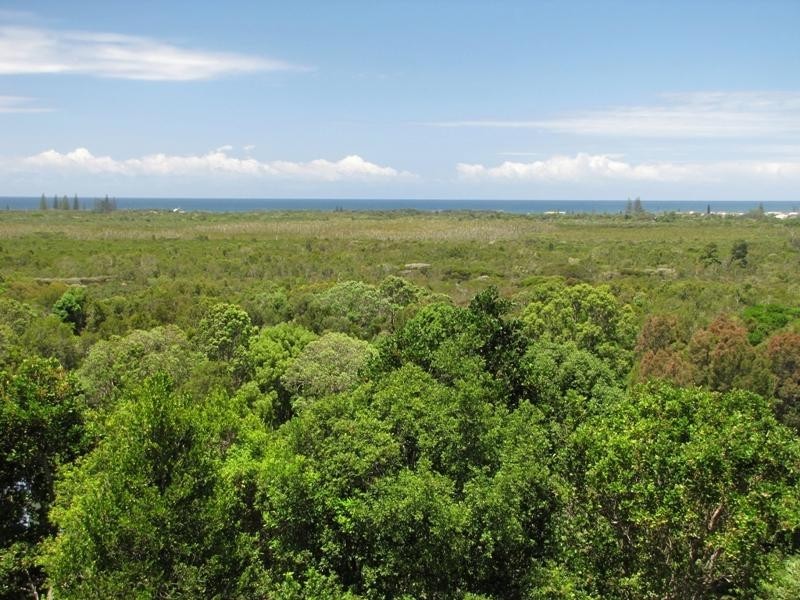 56 Fig Tree Hill Dr, Lennox Head NSW 2478