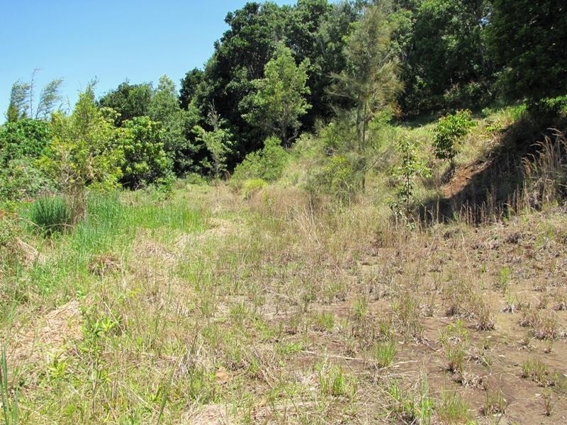 56 Fig Tree Hill Dr, Lennox Head NSW 2478