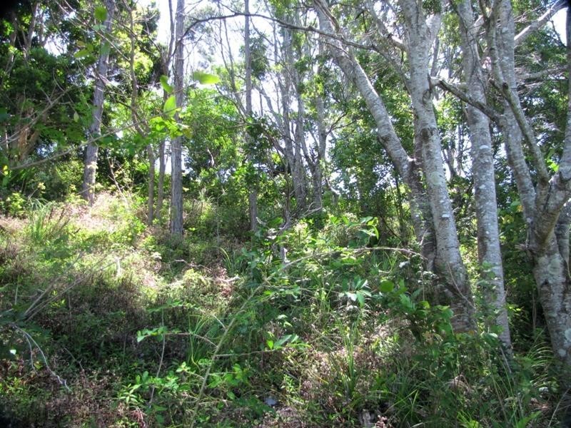 56 Fig Tree Hill Dr, Lennox Head NSW 2478