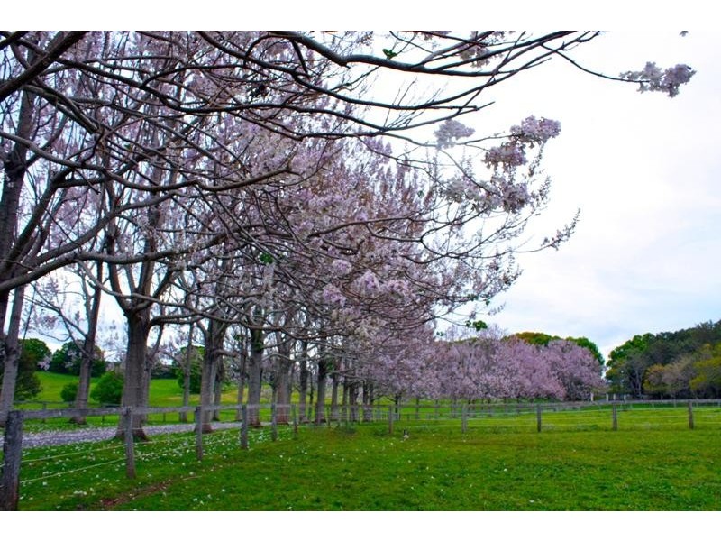 Alstonville NSW 2477