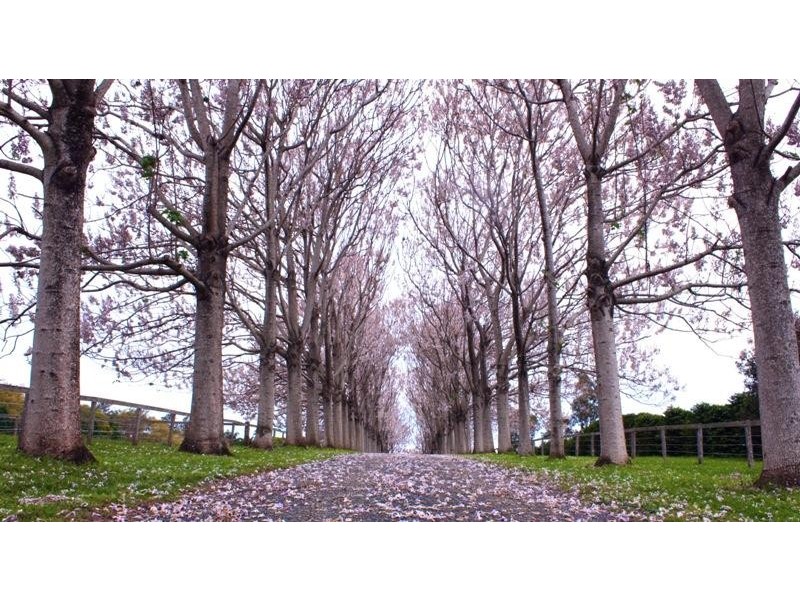 Alstonville NSW 2477