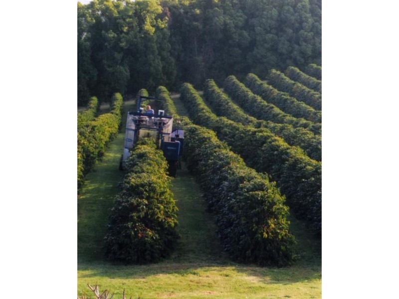 Alstonville NSW 2477