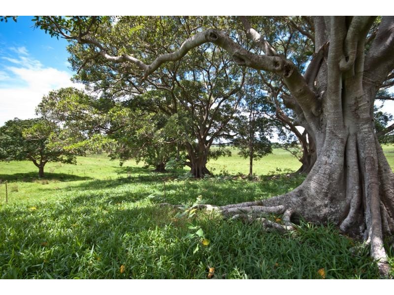 Mullumbimby NSW 2482