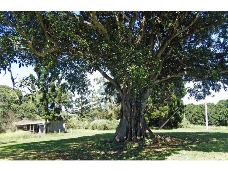 130 Rosebank Rd, Rosebank NSW 2480