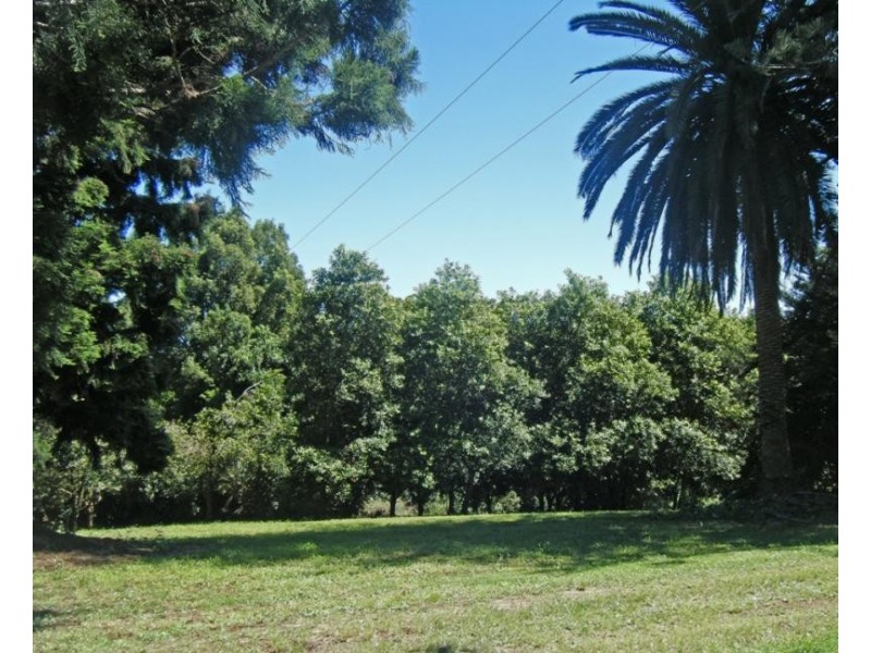 130 Rosebank Rd, Rosebank NSW 2480