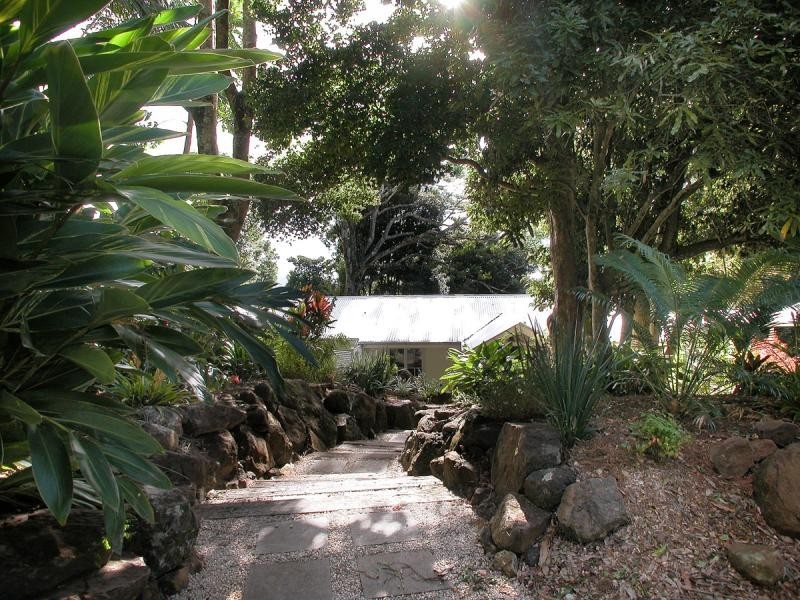 4  Newes Rd, Coorabell NSW 2479