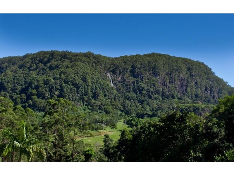 Upper Coopers Creek NSW 2480