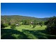 Upper Coopers Creek NSW 2480