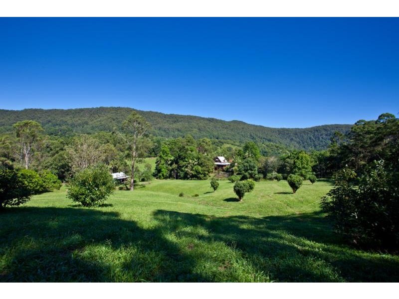Upper Coopers Creek NSW 2480