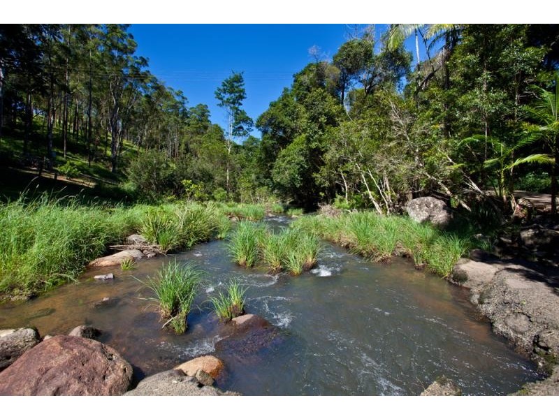 Upper Coopers Creek NSW 2480