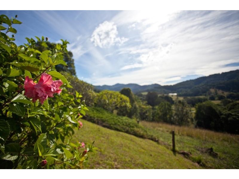 201 Middle Pocket Rd, The Pocket NSW 2483