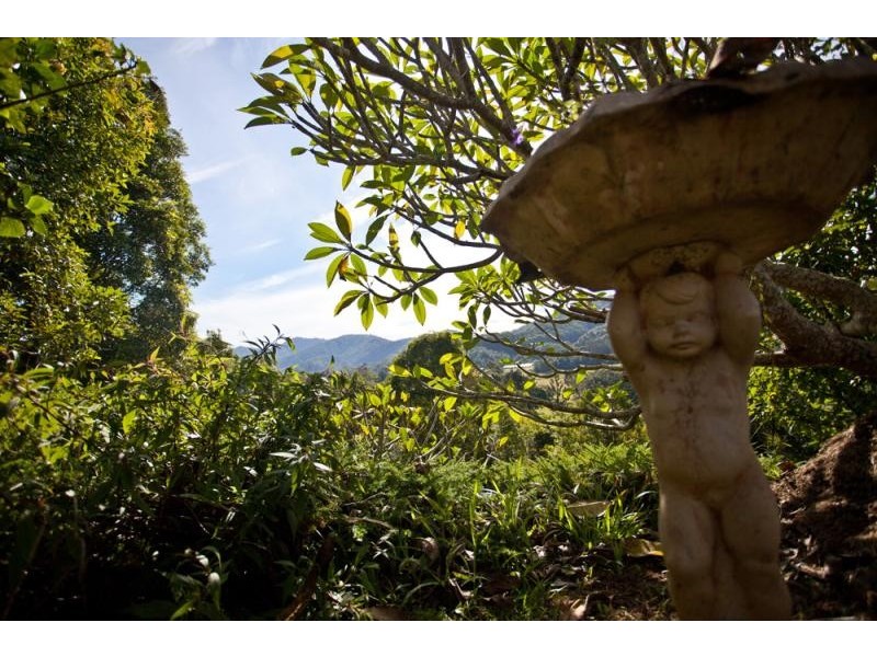 201 Middle Pocket Rd, The Pocket NSW 2483