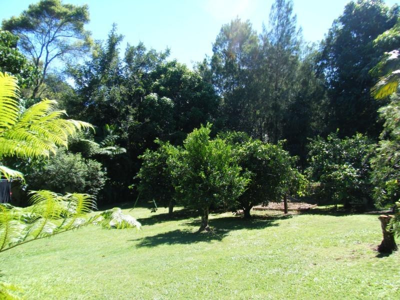 4 Jarvis St, Clunes NSW 2480
