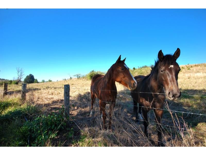 Fernleigh NSW 2479