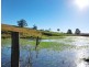 Fernleigh NSW 2479