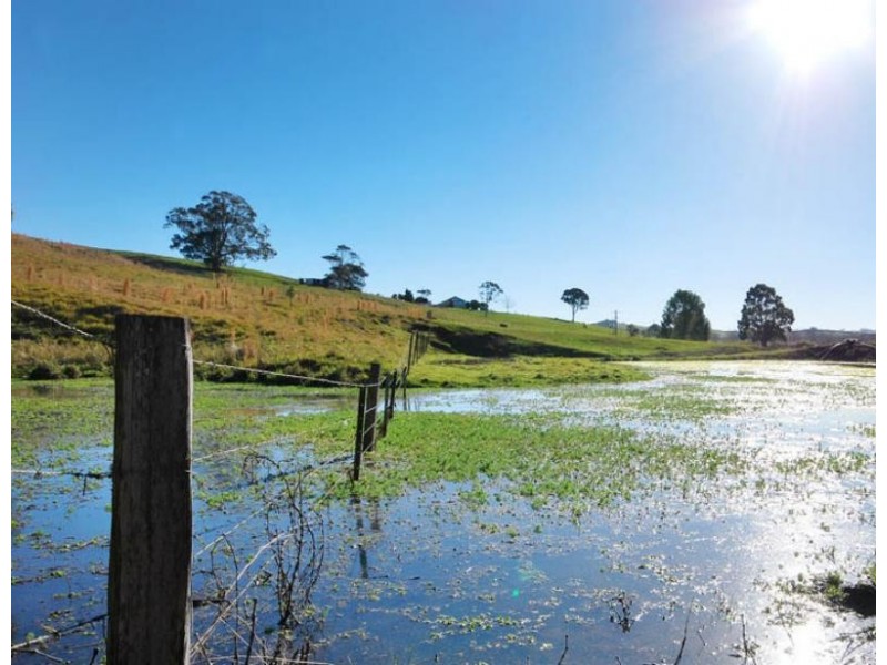 Fernleigh NSW 2479