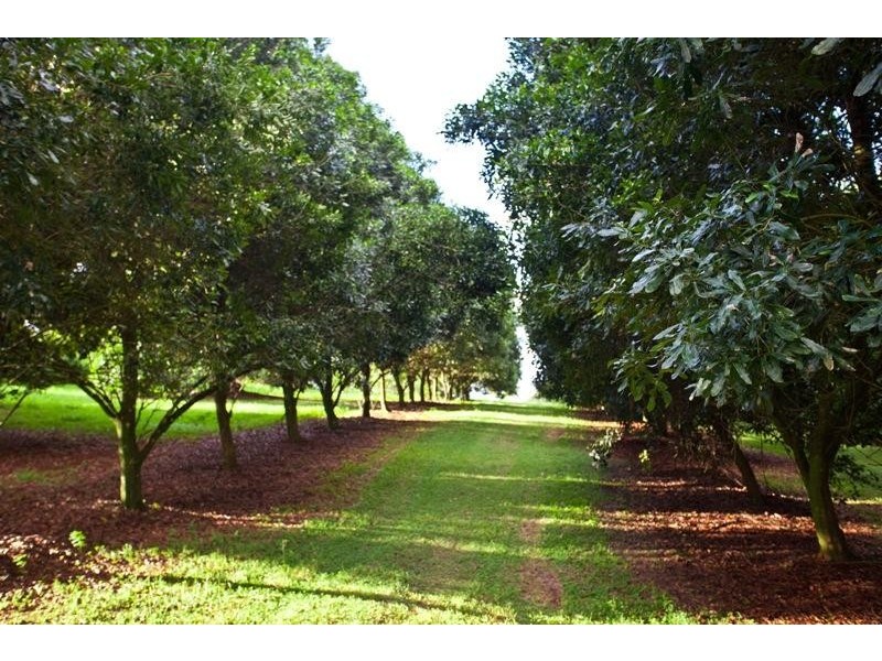 130  Rosebank Rd, Rosebank NSW 2480