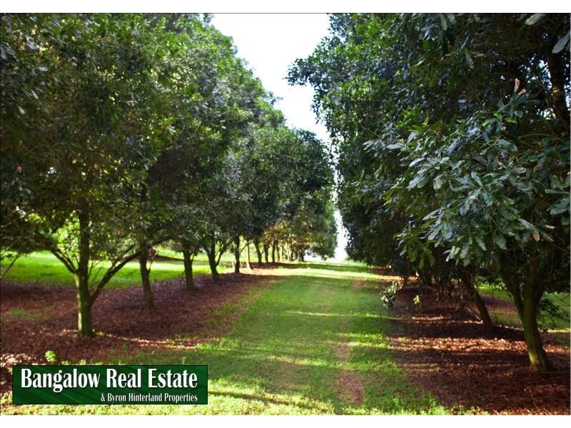 130  Rosebank Rd, Rosebank NSW 2480