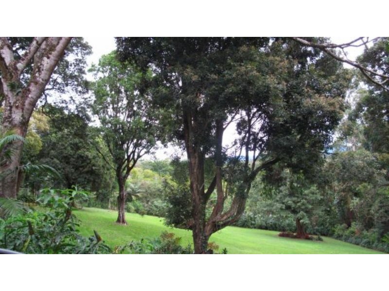 4 Newes Rd, Coorabell NSW 2479