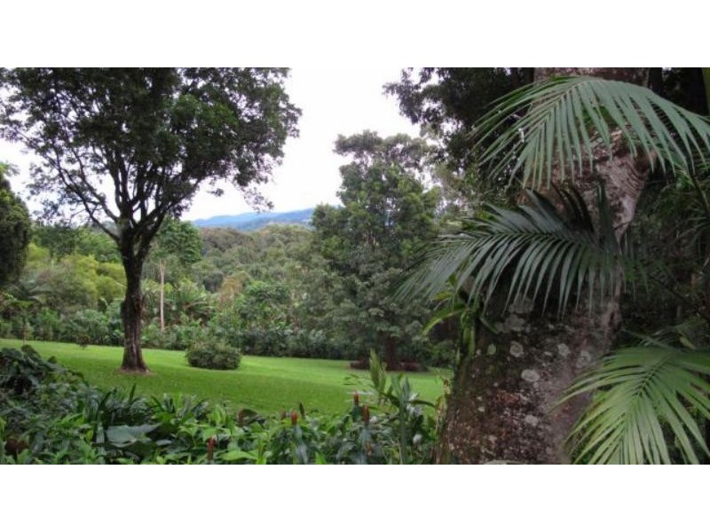 4 Newes Rd, Coorabell NSW 2479